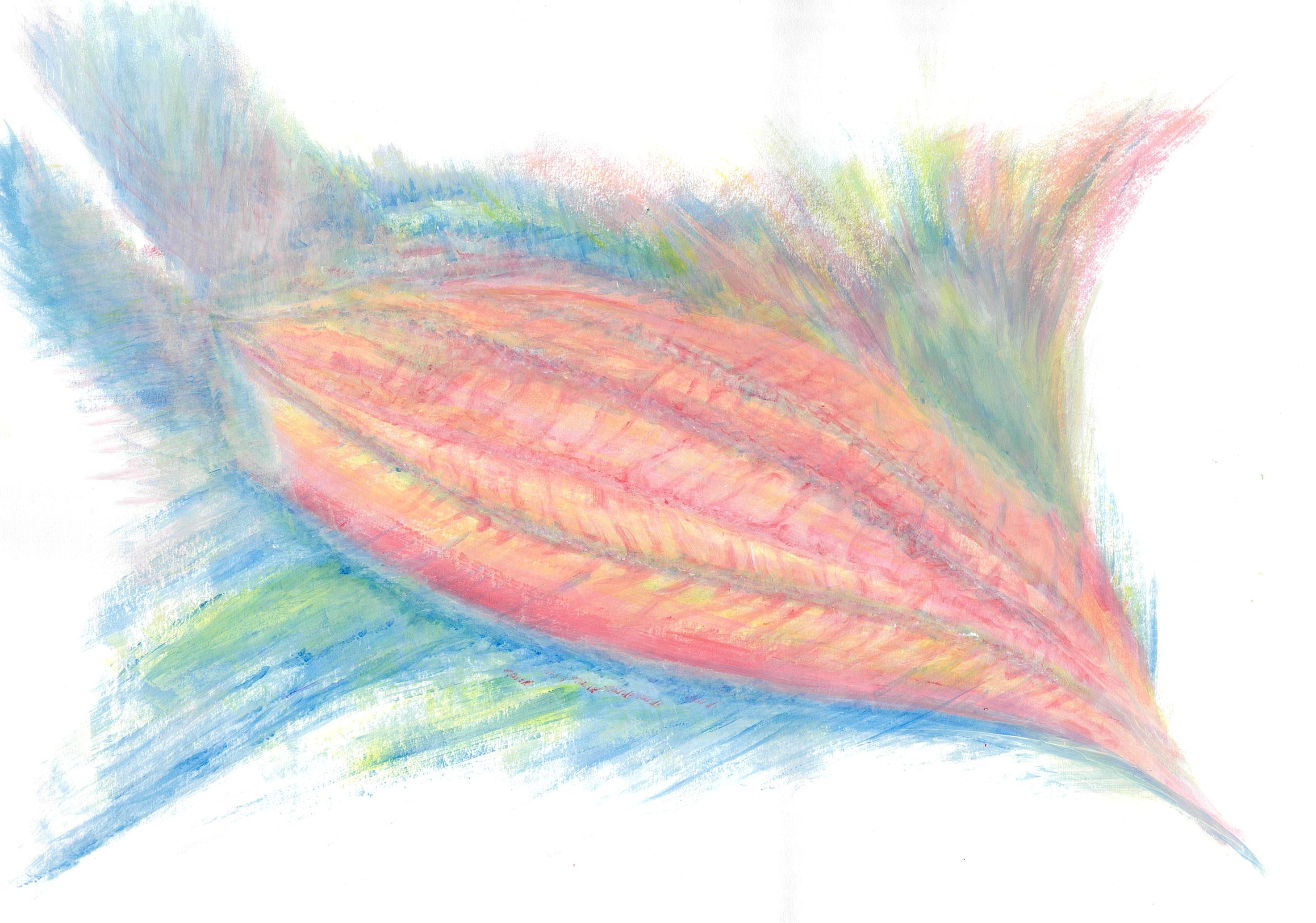 インスタント魚