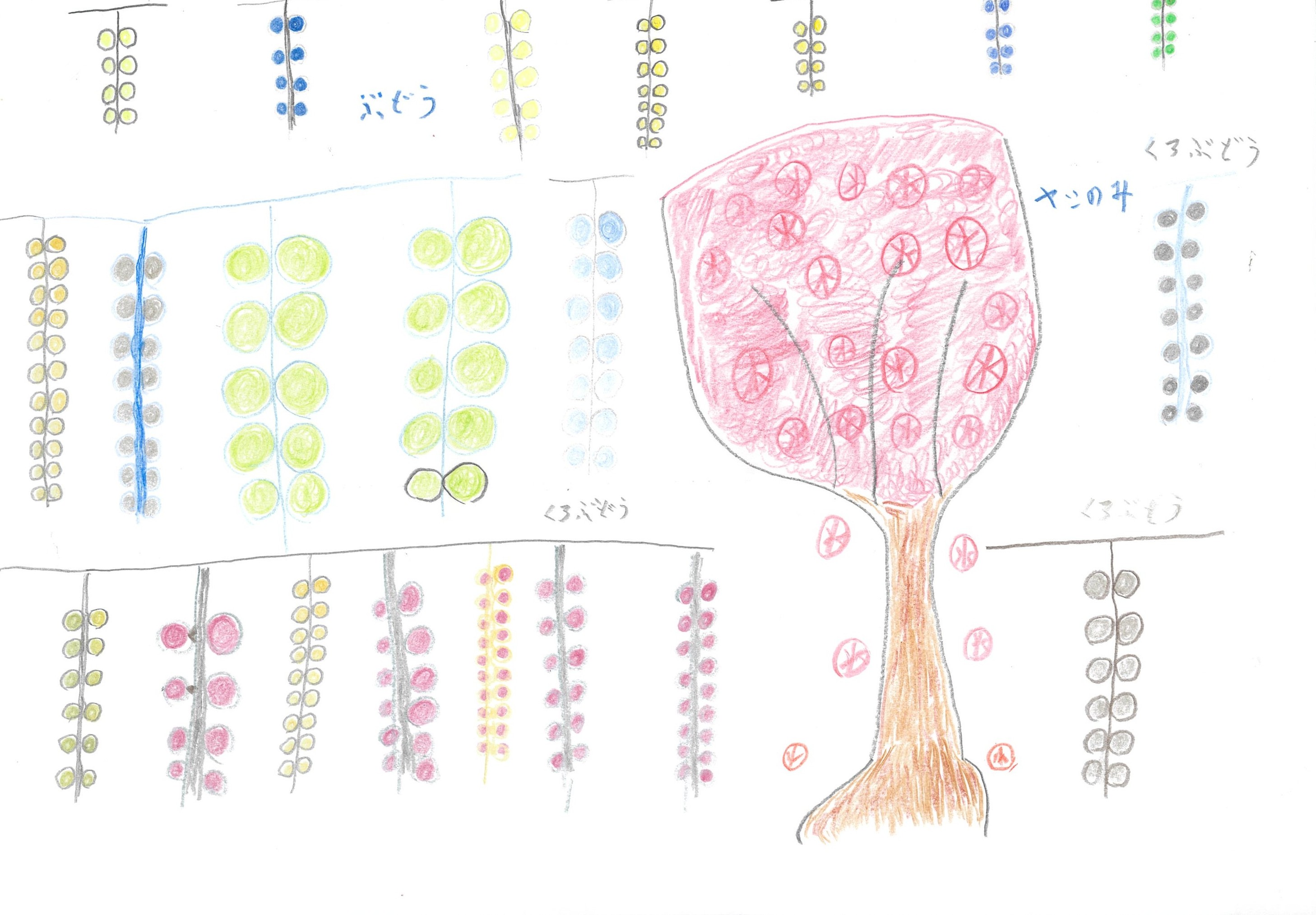 ぶどうとヤシの実