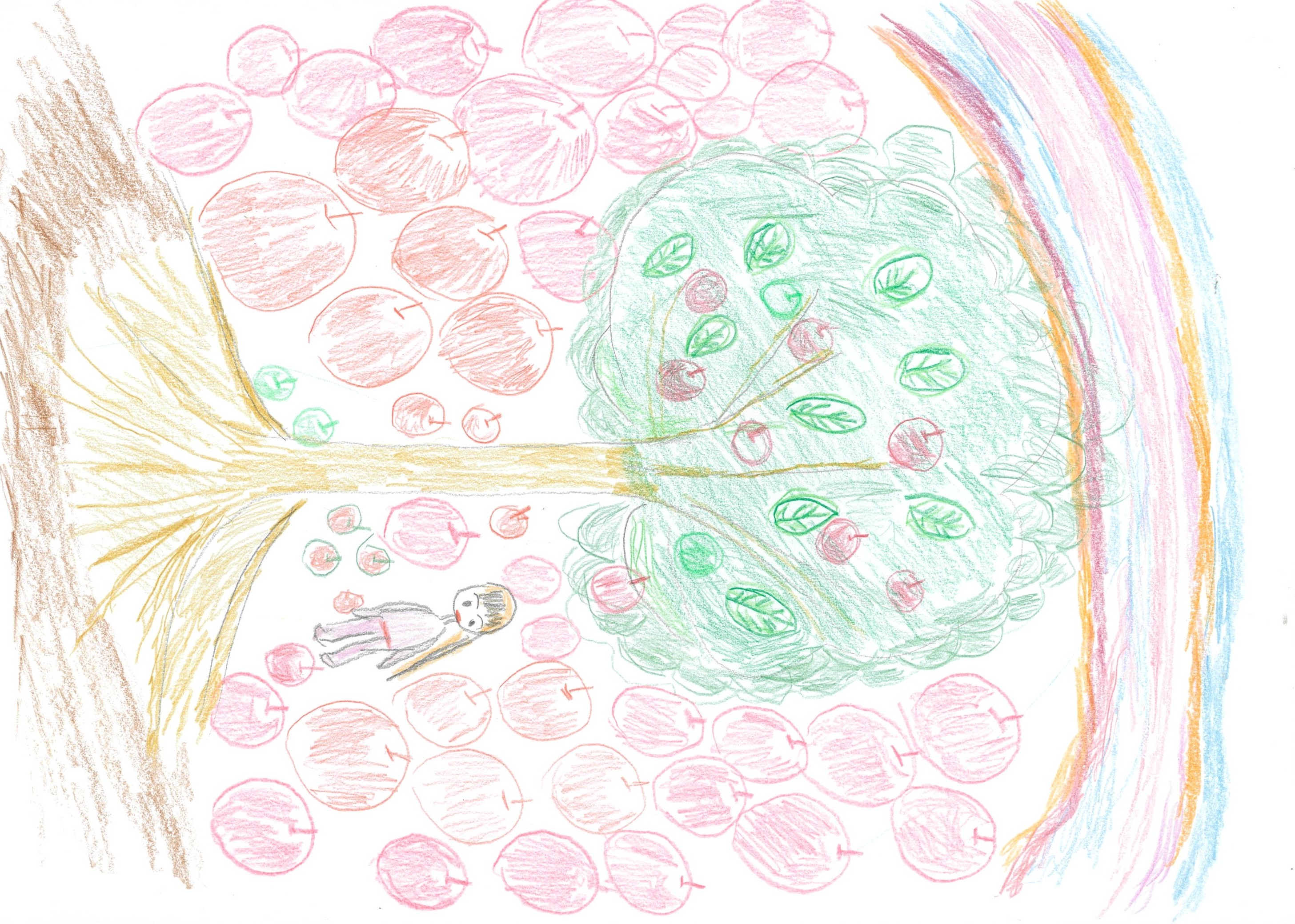 木とリンゴと私