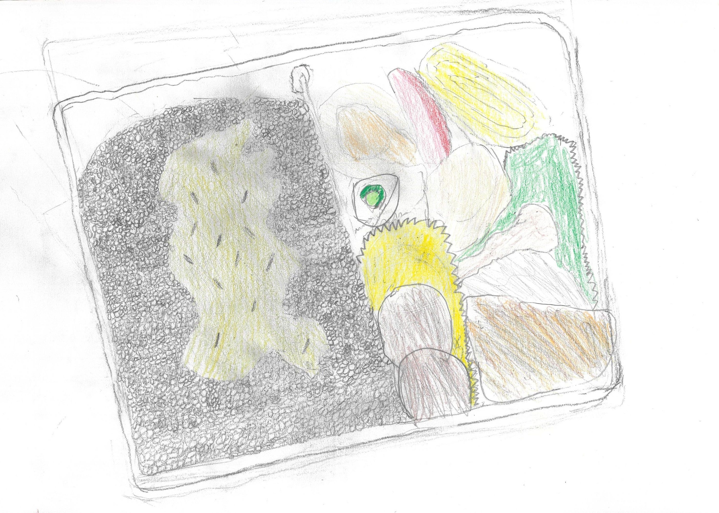 夏休みのお弁当