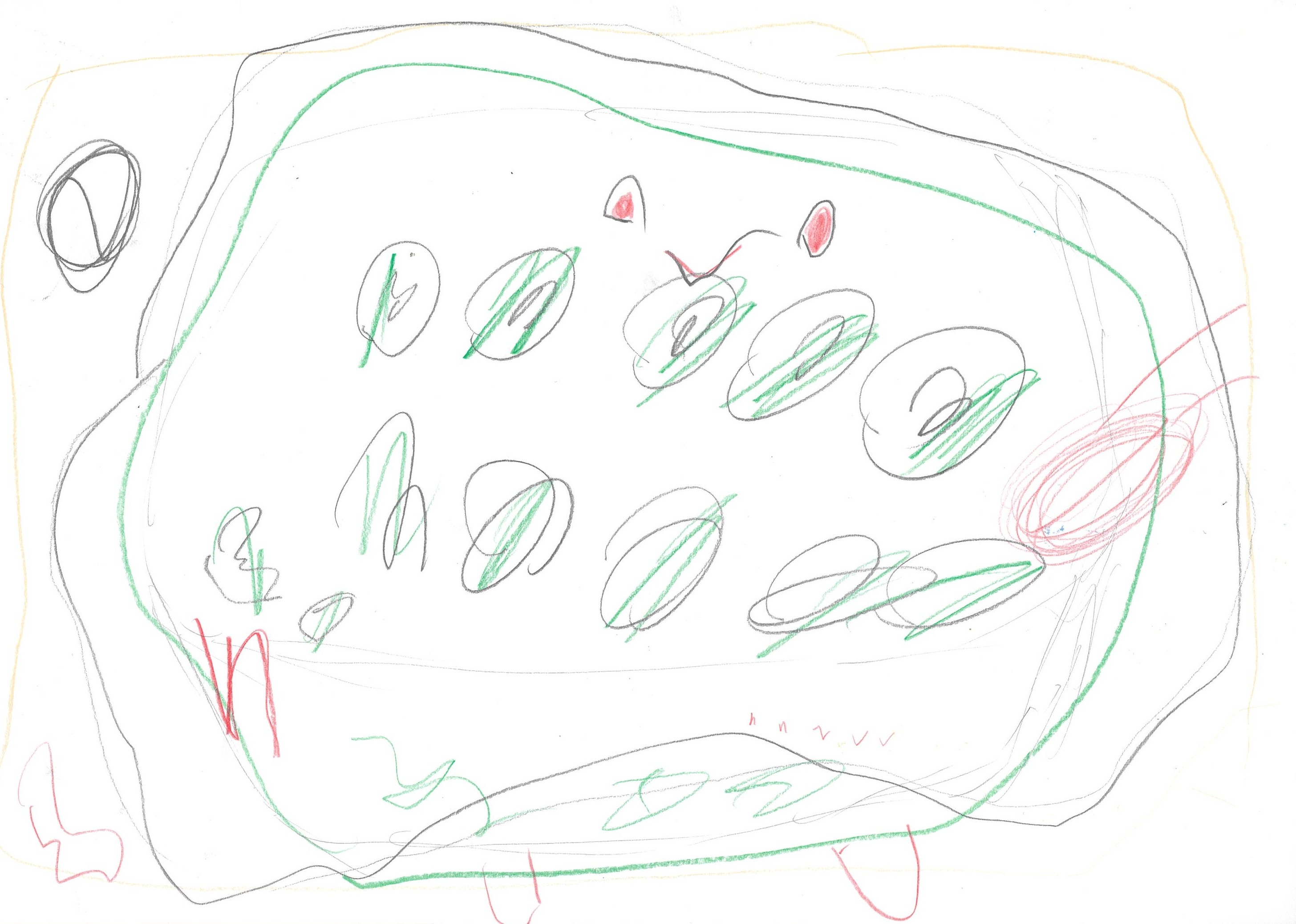 夏休みのお弁当