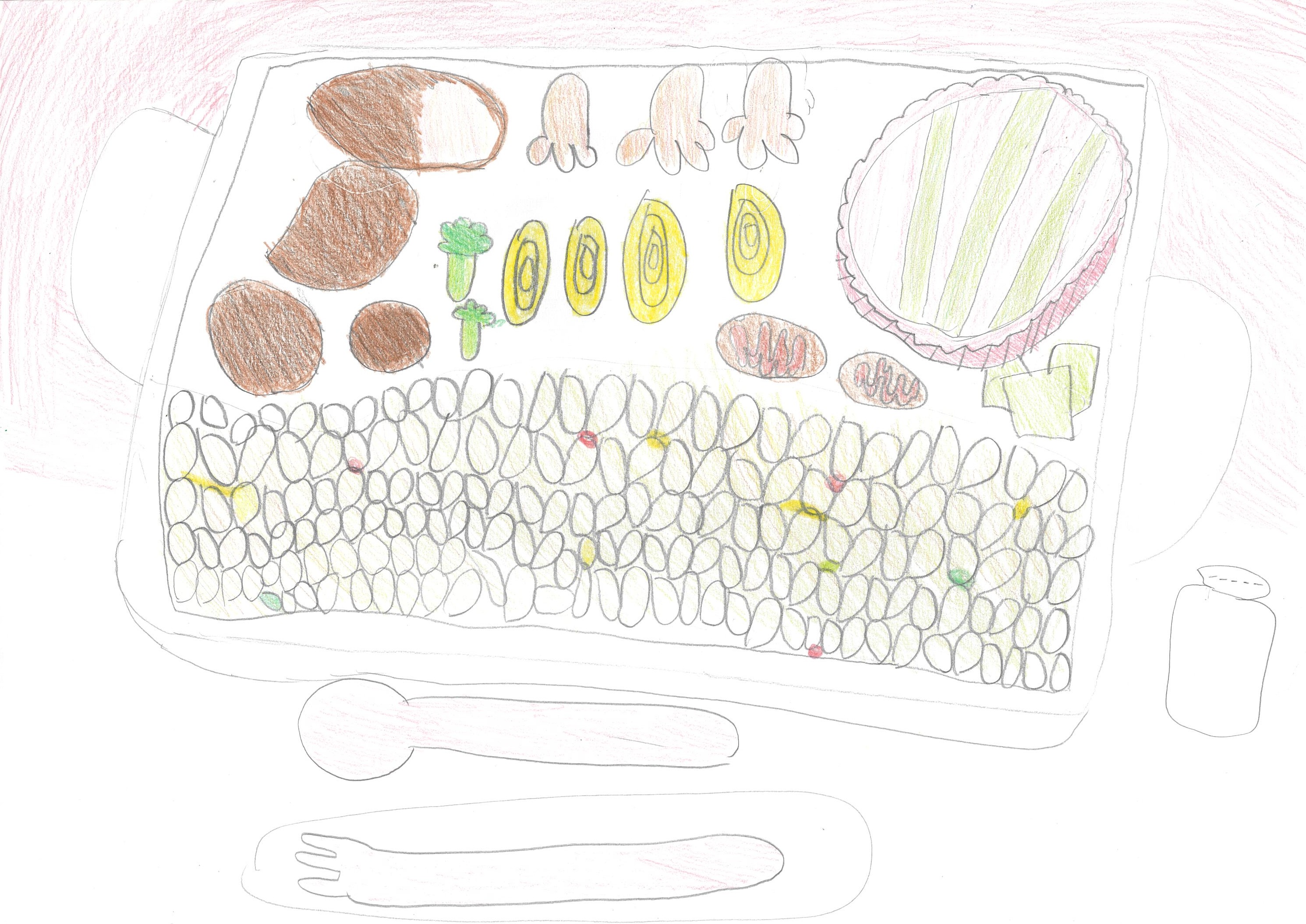 夏休みのお弁当