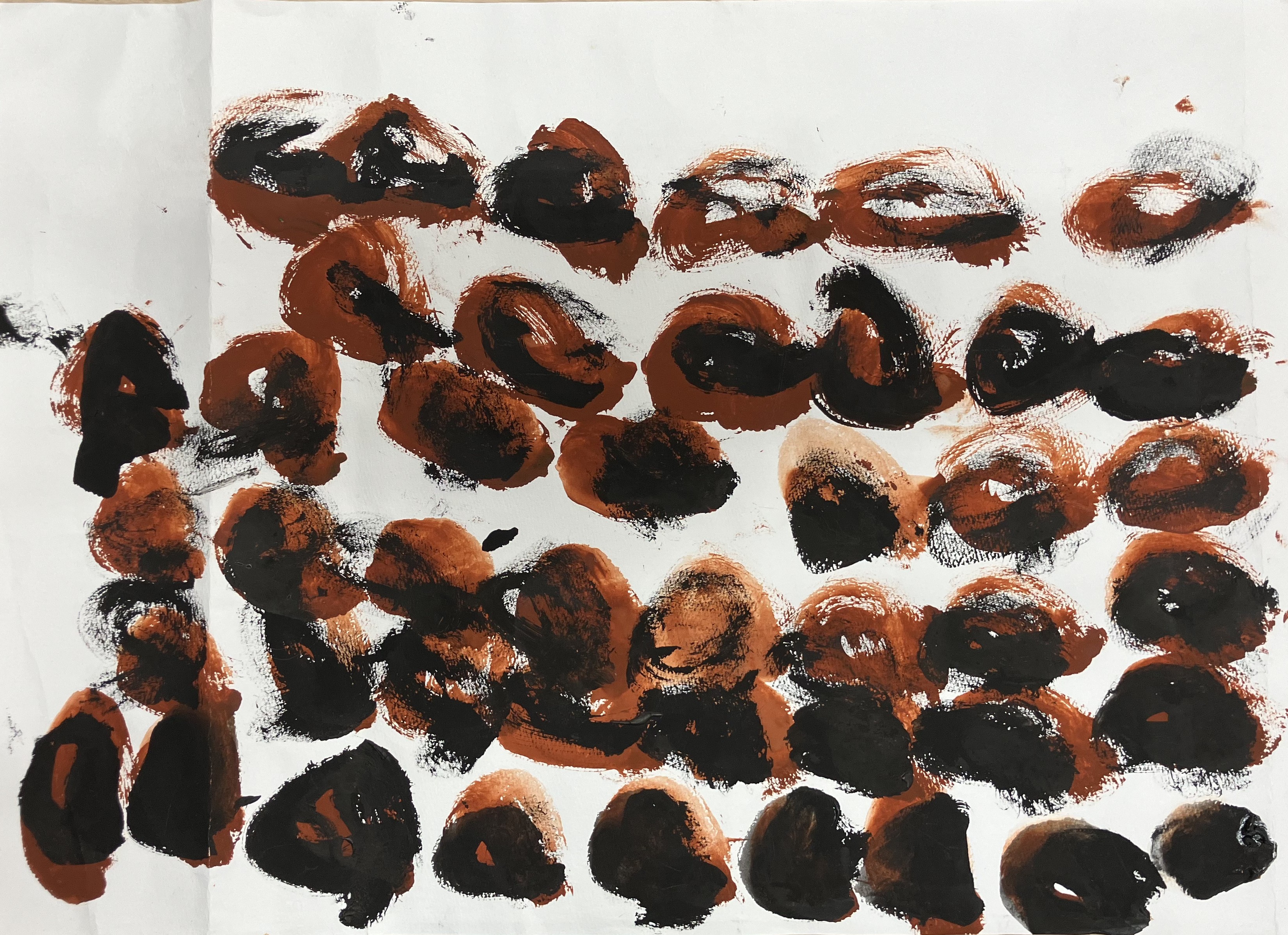 ドーナツたくさん